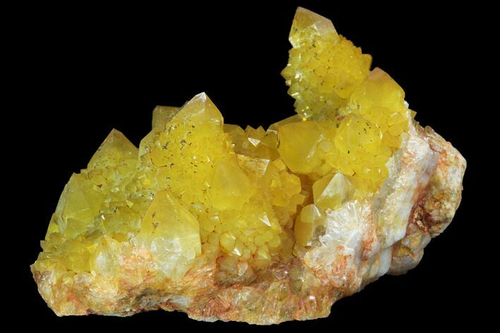 Sunshine Cactus Quartz Crystal - South Africa #96268